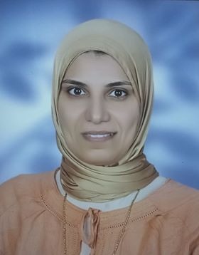 مدير البرنامج